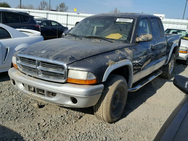 1D7HG48NX3S223618 - 2003 DODGE DAKOTA QUA GRAY photo 2