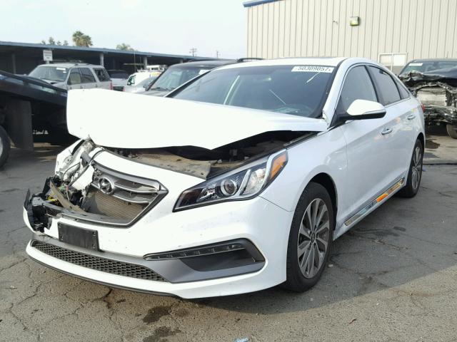 5NPE34AF0GH414769 - 2016 HYUNDAI SONATA SPO WHITE photo 2