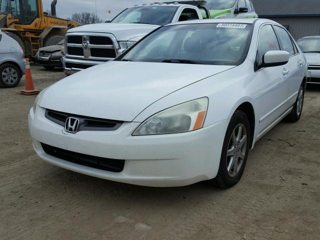 1HGCM66513A055466 - 2003 HONDA ACCORD EX WHITE photo 2