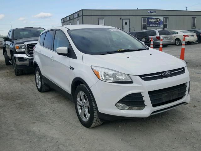 1FMCU0GX0DUB09699 - 2013 FORD ESCAPE SE WHITE photo 1