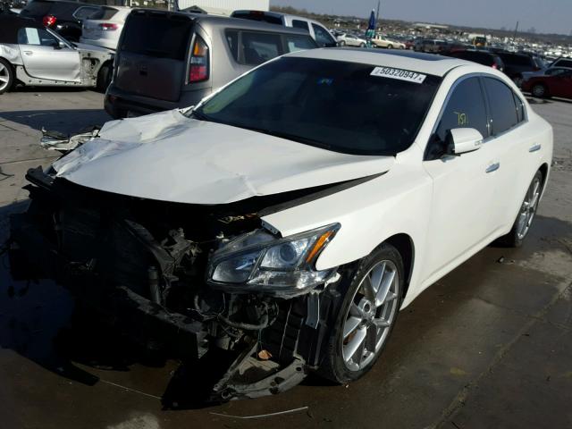 1N4AA5AP7BC830380 - 2011 NISSAN MAXIMA S WHITE photo 2