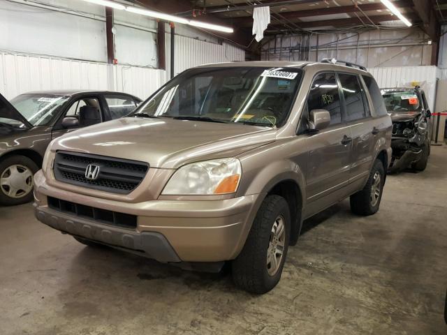 2HKYF18503H570367 - 2003 HONDA PILOT EXL TAN photo 2