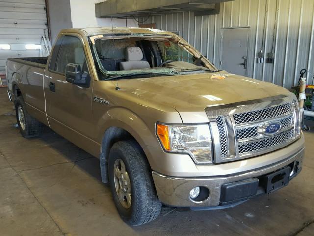 1FTMF1CM4DKD34949 - 2013 FORD F150 TAN photo 1