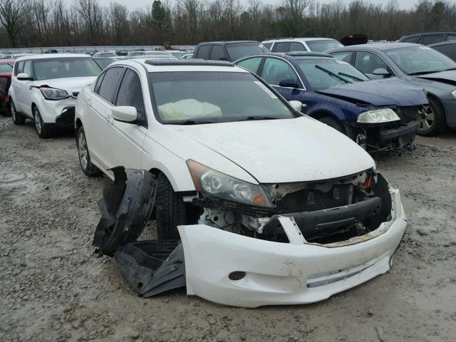 5KBCP3F87AB015459 - 2010 HONDA ACCORD EXL WHITE photo 1