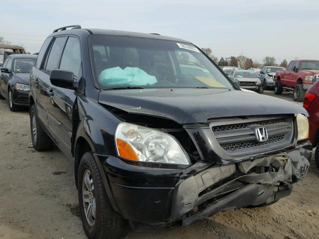 2HKYF18483H575520 - 2003 HONDA PILOT EX BLACK photo 1