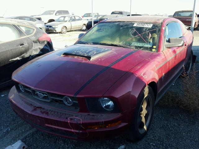 1ZVHT80N275320760 - 2007 FORD MUSTANG RED photo 2