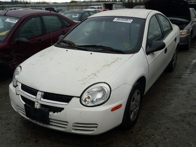 1B3ES26C35D136931 - 2005 DODGE NEON BASE WHITE photo 2