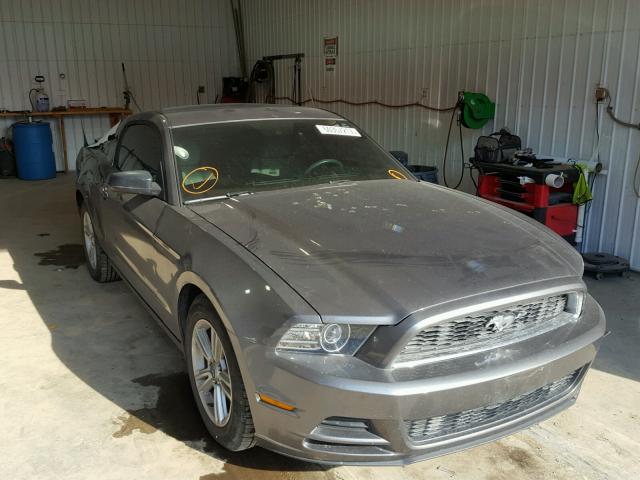 1ZVBP8AMXE5251717 - 2014 FORD MUSTANG GRAY photo 1