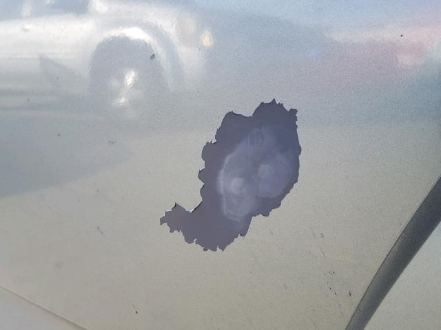 1LNHM86S65Y642810 - 2005 LINCOLN LS GREEN photo 9