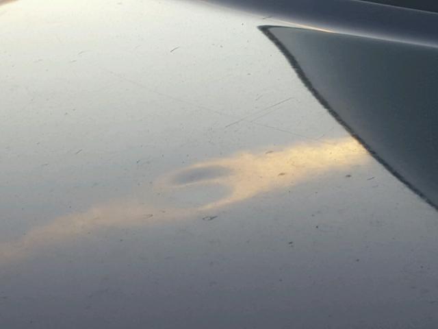 JTLKT334054028062 - 2005 TOYOTA SCION XB BLUE photo 9