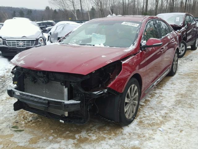 5NPE34AF8FH087374 - 2015 HYUNDAI SONATA SPO 栗色 照片 2