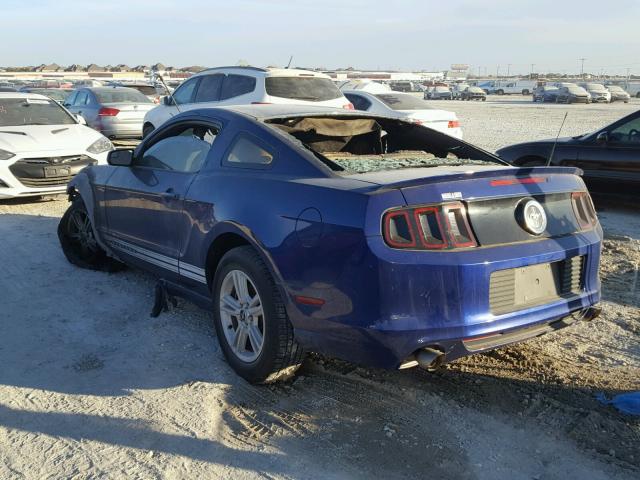 1ZVBP8AM6D5269145 - 2013 FORD MUSTANG BLUE photo 3