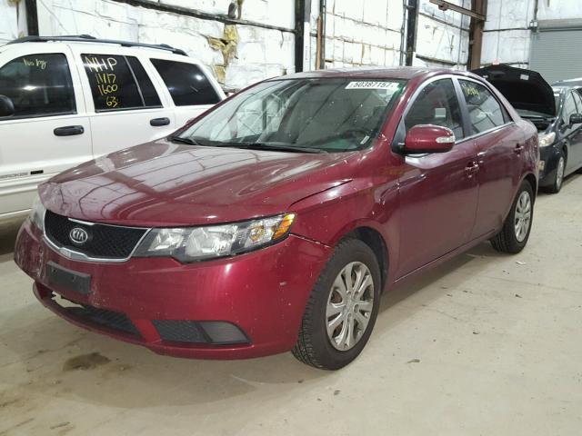 KNAFU4A24A5127857 - 2010 KIA FORTE EX RED photo 2