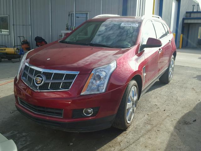 3GYFNEEY2BS566173 - 2011 CADILLAC SRX PERFOR RED photo 2