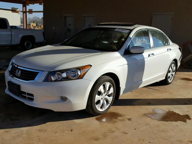 1HGCP36808A085582 - 2008 HONDA ACCORD EXL WHITE photo 2