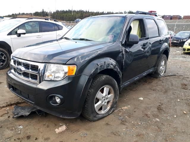 1FMCU03739KD15897 - 2009 FORD ESCAPE XLT GREEN photo 9