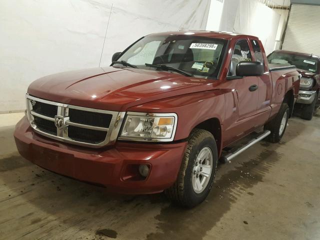 1D7HW42N58S541827 - 2008 DODGE DAKOTA SLT RED photo 2