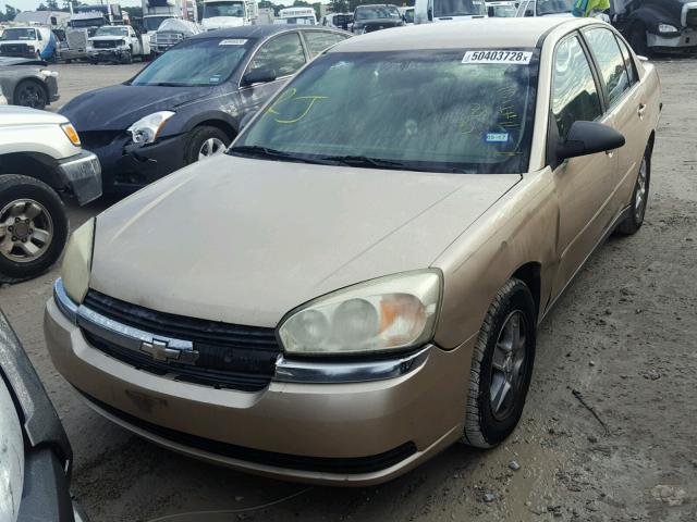 1G1ZT54805F176264 - 2005 CHEVROLET MALIBU LS თაფლისფერი ფოტო 2