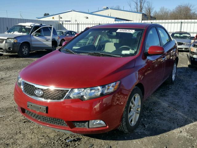 KNAFU4A27C5517063 - 2012 KIA FORTE EX RED photo 2