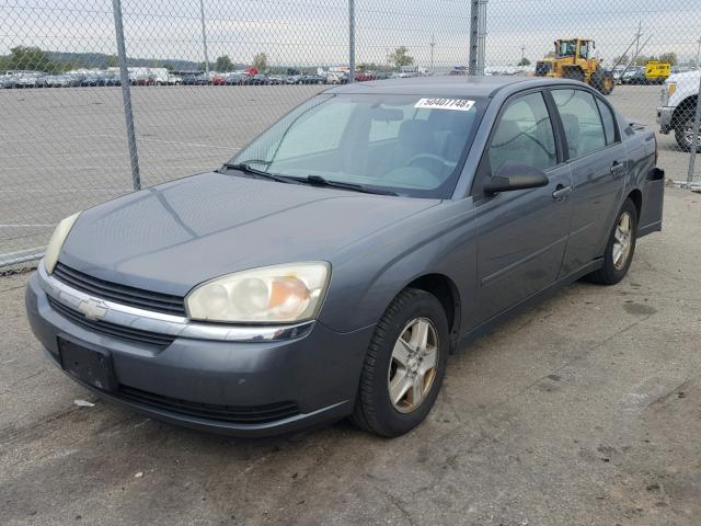 1G1ZT54834F105350 - 2004 CHEVROLET MALIBU LS Boz foto 2