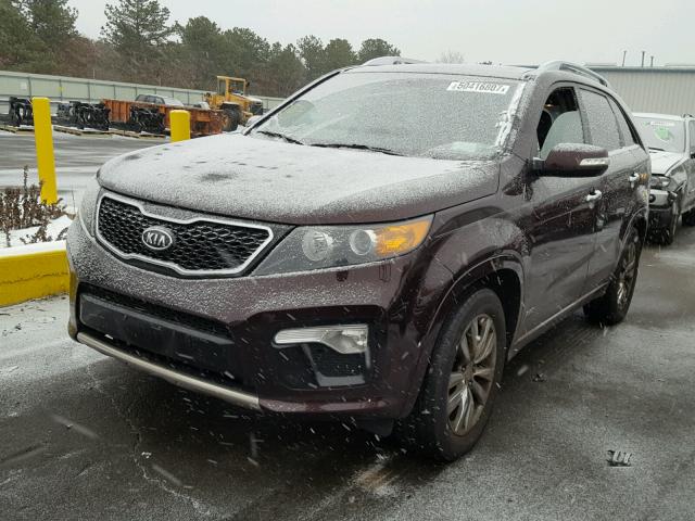 5XYKWDA21BG147391 - 2011 KIA SORENTO SX MAROON photo 2