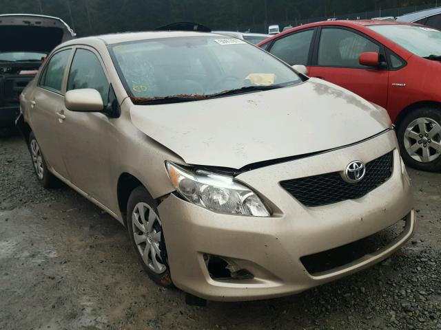 1NXBU40E99Z164557 - 2009 TOYOTA COROLLA BA GOLD photo 1