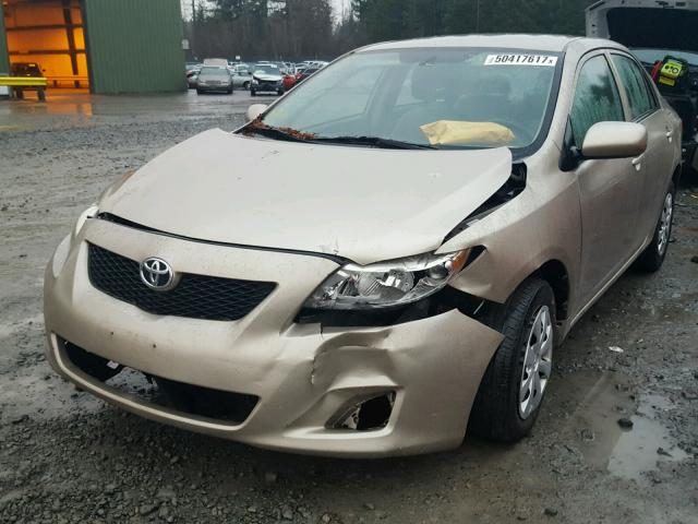 1NXBU40E99Z164557 - 2009 TOYOTA COROLLA BA GOLD photo 2