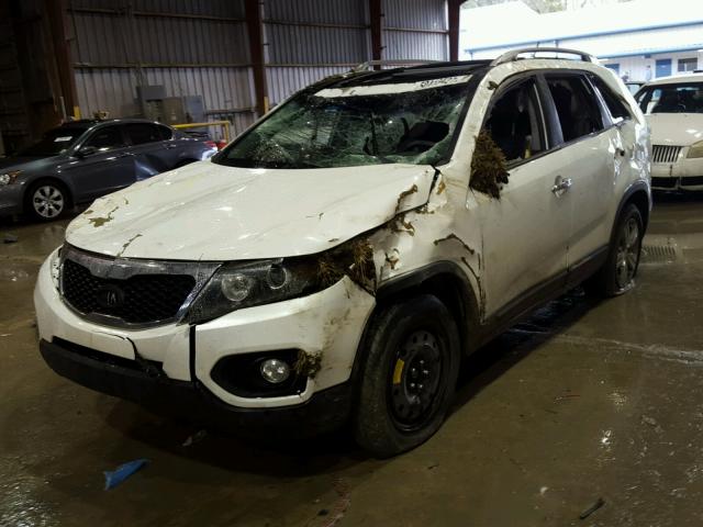5XYKU4A22DG391852 - 2013 KIA SORENTO EX Ağ foto 2