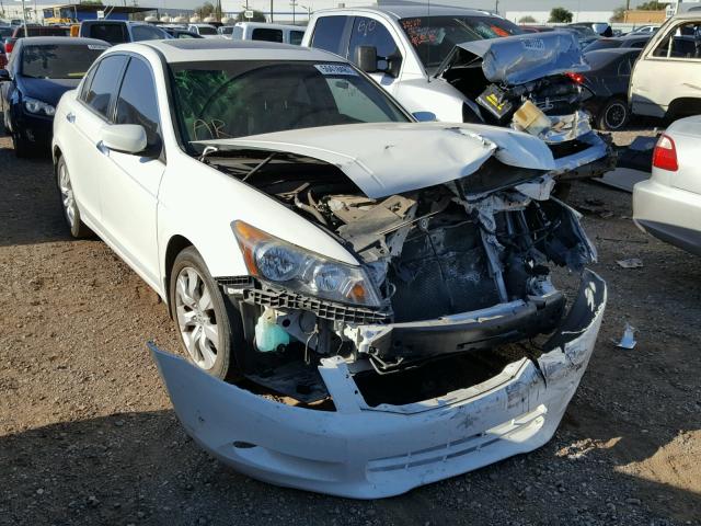 5KBCP3F8XAB011261 - 2010 HONDA ACCORD EXL WHITE photo 1