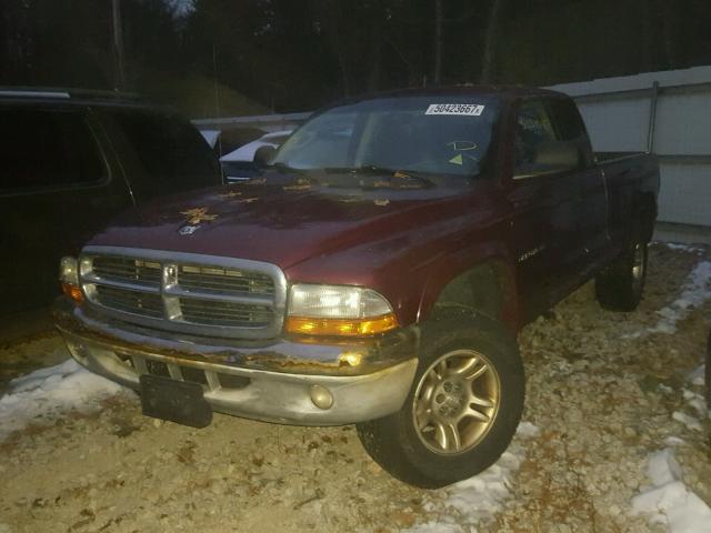 1B7GG22XX1S290009 - 2001 DODGE DAKOTA RED photo 2