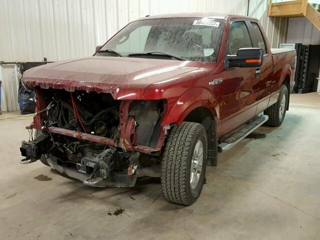 1FTFX1EF8DFB92926 - 2013 FORD F150 SUPER RED photo 2