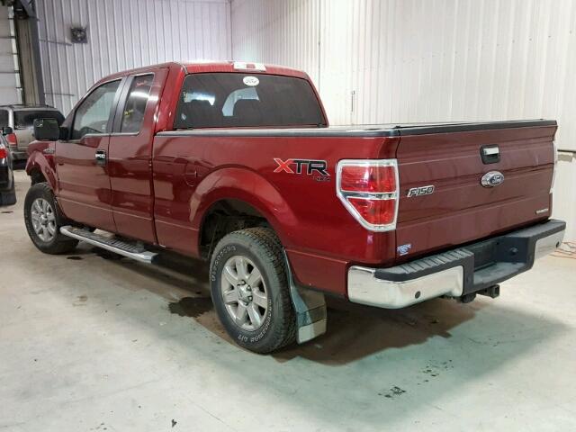 1FTFX1EF8DFB92926 - 2013 FORD F150 SUPER RED photo 3