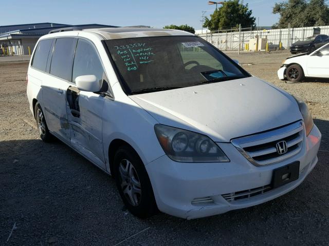 5FNRL38755B100072 - 2005 HONDA ODYSSEY EX WHITE photo 1