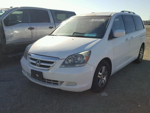 5FNRL38755B100072 - 2005 HONDA ODYSSEY EX WHITE photo 2