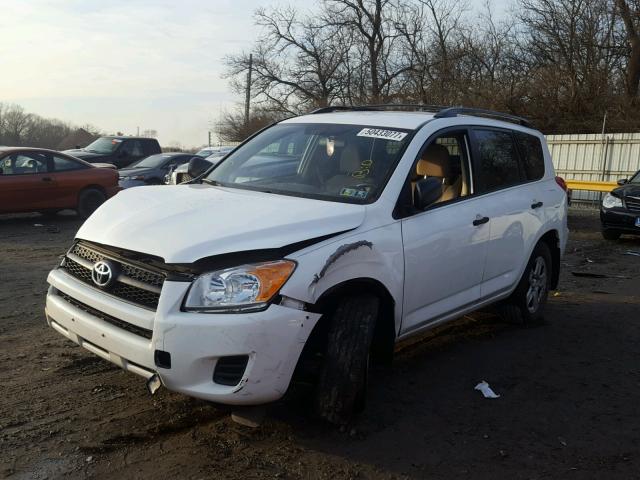 2T3BF4DVXBW140334 - 2011 TOYOTA RAV4 WHITE photo 2