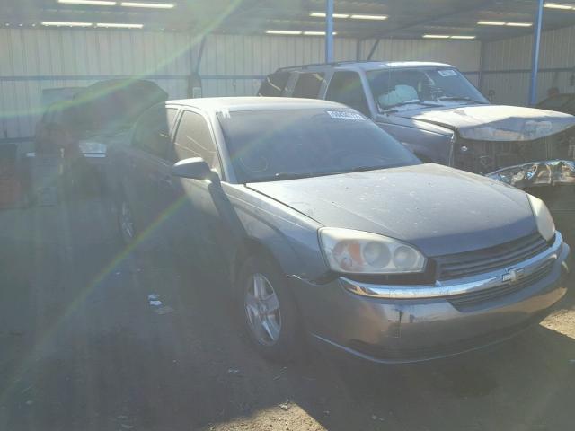 1G1ZT52885F311574 - 2005 CHEVROLET MALIBU LS GRAY photo 1