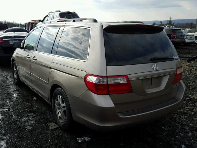 5FNRL38725B111417 - 2005 HONDA ODYSSEY EX BEIGE photo 3