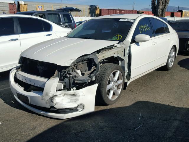 1N4BA41E16C836808 - 2006 NISSAN MAXIMA SE WHITE photo 2