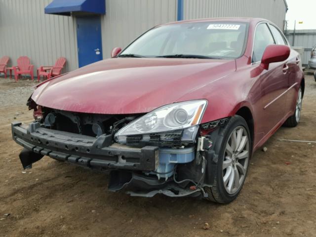 JTHCK262482026384 - 2008 LEXUS IS 250 RED photo 2