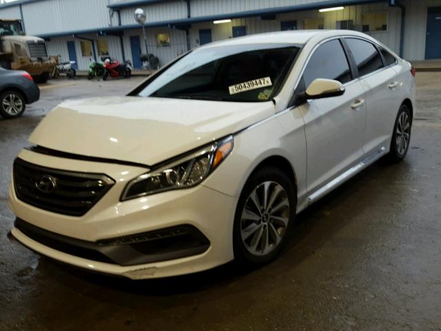 5NPE34AFXFH236304 - 2015 HYUNDAI SONATA SPO WHITE photo 2