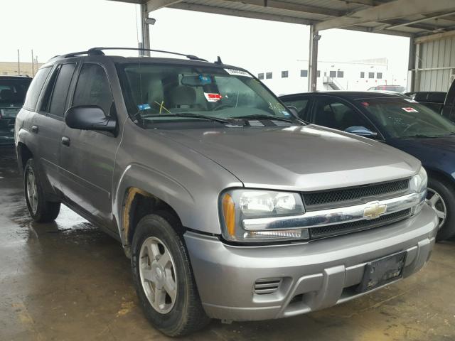 1GNDS13S662256095 - 2006 CHEVROLET TRAILBLAZE TAN photo 1