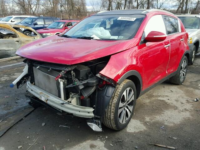 KNDPCCA20D7434214 - 2013 KIA SPORTAGE E RED photo 2