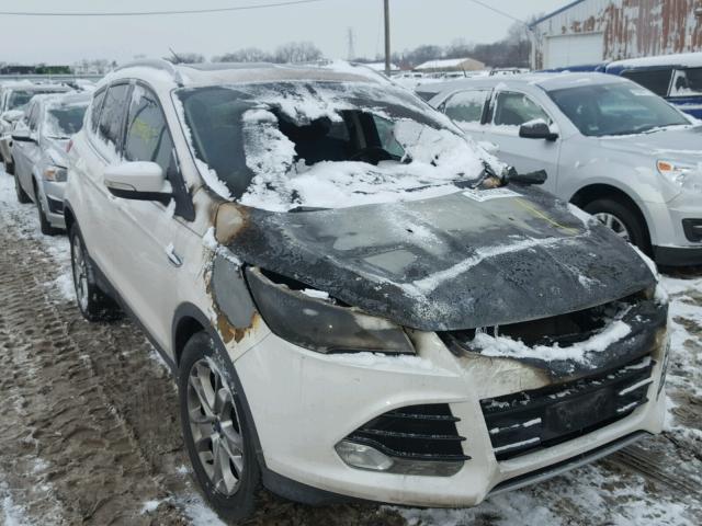 1FMCU0JX2EUA90373 - 2014 FORD ESCAPE TIT WHITE photo 1