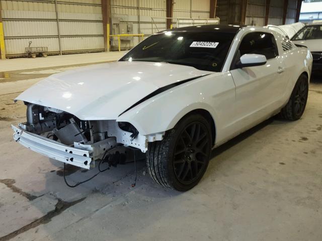 1ZVBP8AM1E5249127 - 2014 FORD MUSTANG WHITE photo 2