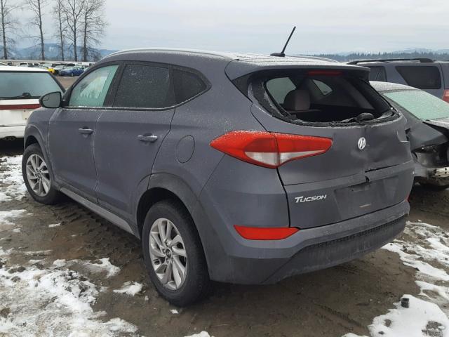 KM8J3CA49HU276482 - 2017 HYUNDAI TUCSON LIM GRAY photo 3