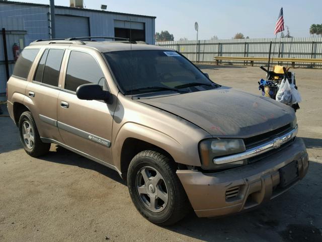 1GNDS13S432125758 - 2003 CHEVROLET TRAILBLAZE BROWN photo 1