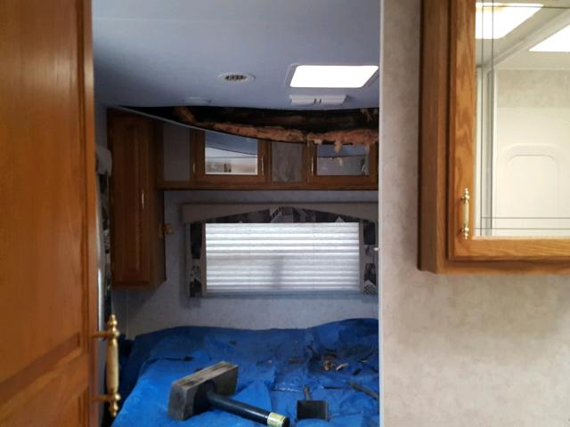 4N11V292020200354 - 2002 NORT ARTIC FOX 白色 照片 10