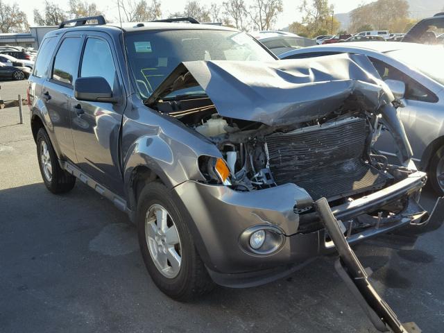 1FMCU0D72BKA33528 - 2011 FORD ESCAPE XLT GRAY photo 1