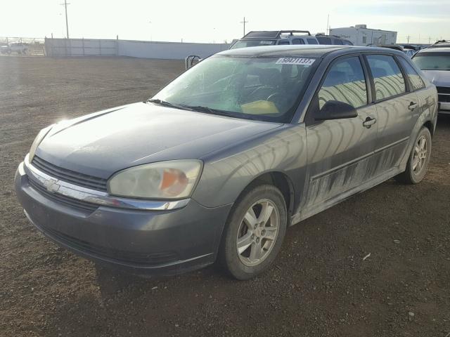 1G1ZT62844F230981 - 2004 CHEVROLET MALIBU MAX GRAY photo 2