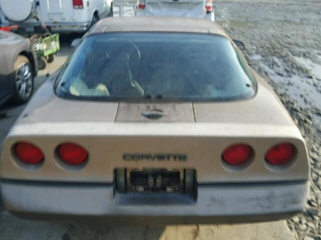 1G1AY0789E5150202 - 1984 CHEVROLET CORVETTE GOLD photo 6